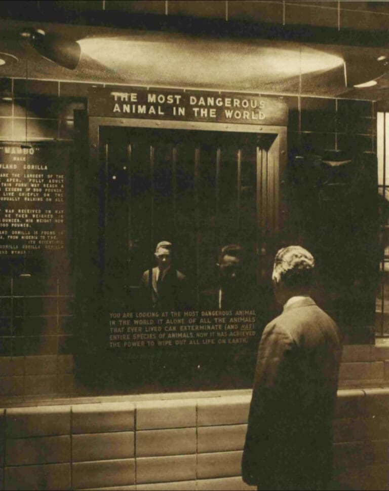 The Most Dangerous Animal In The World: A Reflection From The Bronx Zoo, 1963