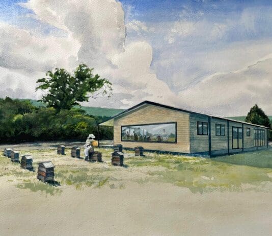 New Centre to Boost Bee Conservation in Dorset