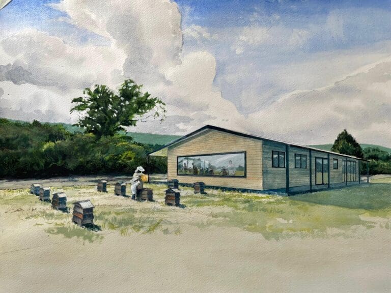 New Centre to Boost Bee Conservation in Dorset