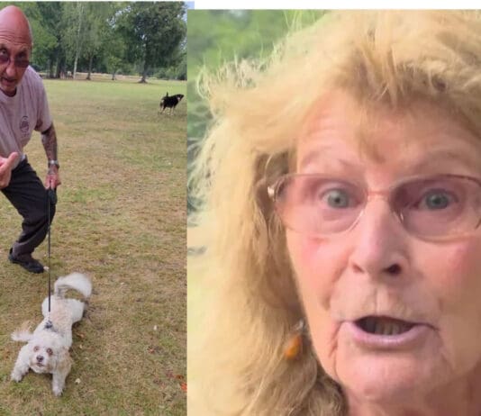 A Park Walk, a Dog, and a Vile Tirade: Halifax Attack Highlights Enduring Scourge of Racist Abuse