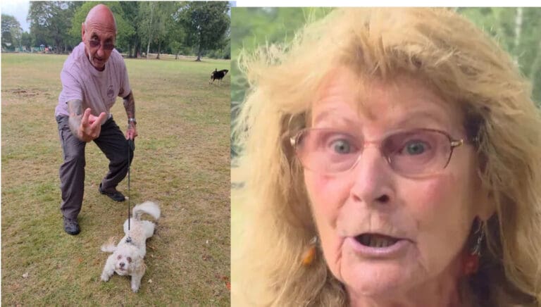 A Park Walk, a Dog, and a Vile Tirade: Halifax Attack Highlights Enduring Scourge of Racist Abuse