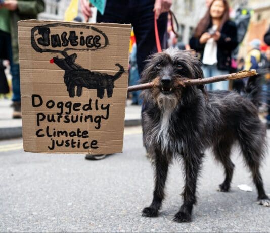 Communities to Unite in Poole to March for Climate Justice