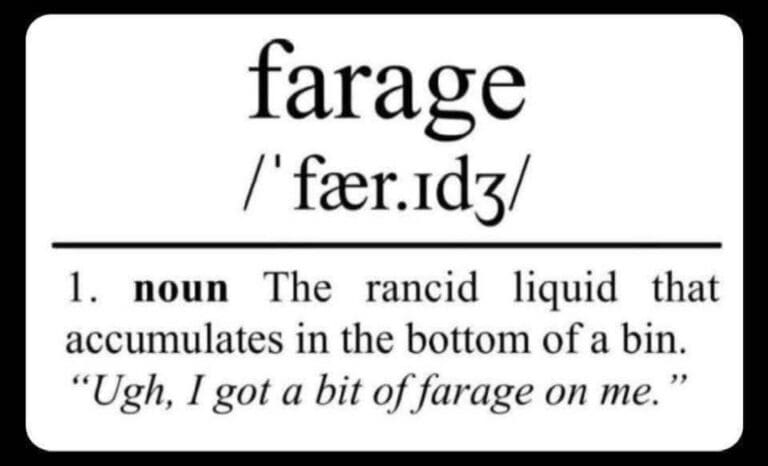 Reform UK is Farage’s Get-Rich-Quick Scheme that Could Turn into a Lame Duck