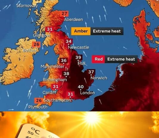 Explaining The Hottest Summer On Record