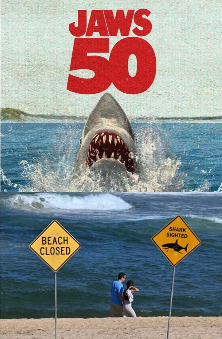 Fifty Years of Fear: When Hollywood Myth Meets the Desperate Screams of Heartbreaking Reality