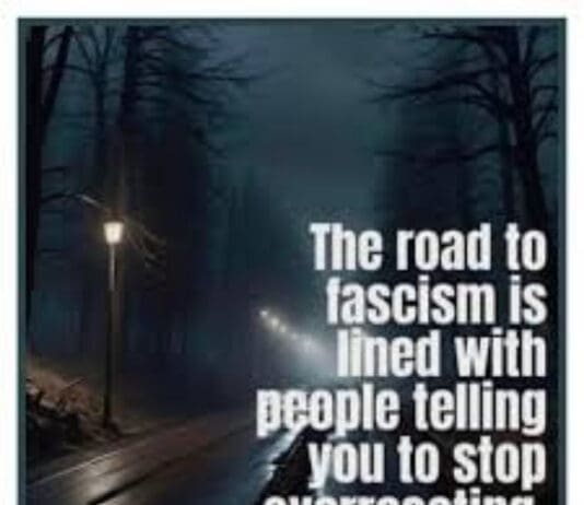 The Digital Coup: How a Clandestine Network is Cultivating Fascism in Plain Sight