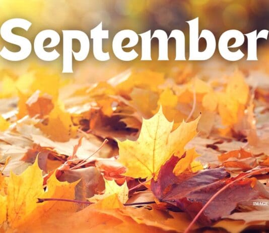 September Is The Most Popular Birth Month Of The Year