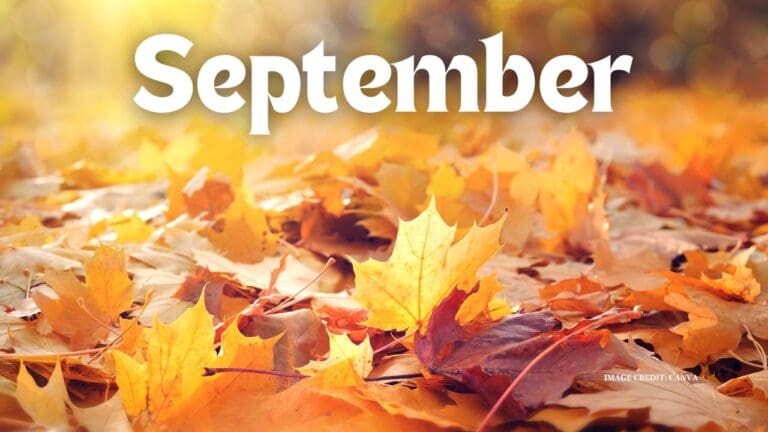 September Is The Most Popular Birth Month Of The Year