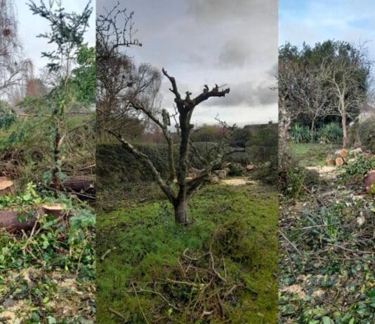 Four People Convicted Following Defrauding Of Elderly Man In Dorchester