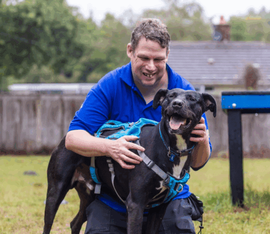 RSPCA: Large Dogs Are Desperate For Adoption
