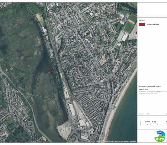 Radipole Lake Update. Reed And Weed Removal From Radipole Lake, Weymouth
