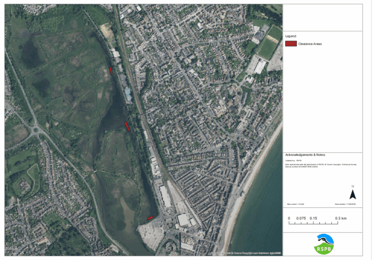 Radipole Lake Update. Reed And Weed Removal From Radipole Lake, Weymouth