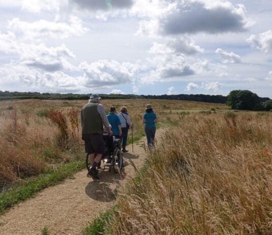 New Bere Regis Greenspace to Help Protect Dorset’s Heathlands