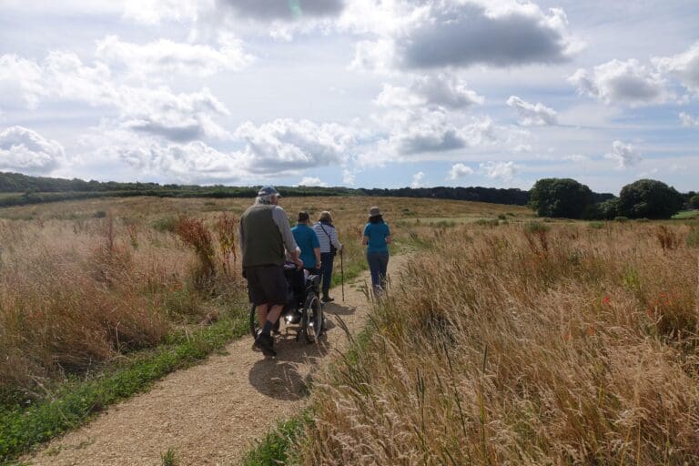 New Bere Regis Greenspace to Help Protect Dorset’s Heathlands