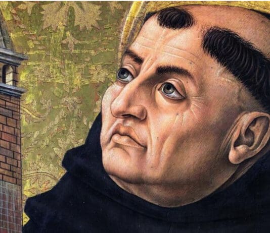 The Book of Enoch in Debate: A Logical Defence Beyond the “False” Label