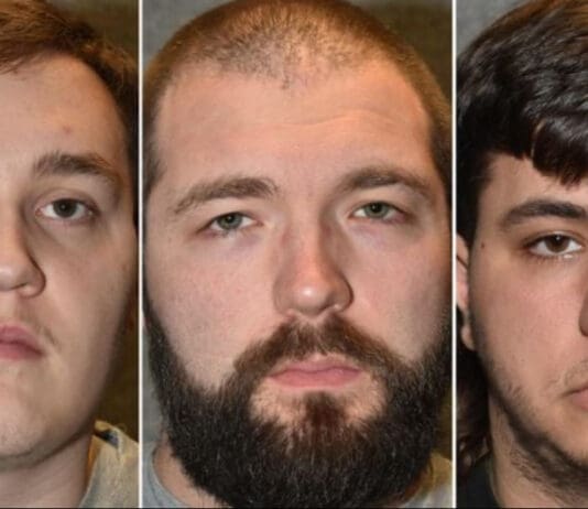 “Hitler Did More For His People Than Any Politician.” Neo-Nazi Cell Sentenced To 29 Years