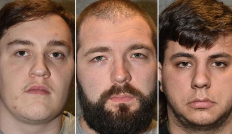 “Hitler Did More For His People Than Any Politician.” Neo-Nazi Cell Sentenced To 29 Years