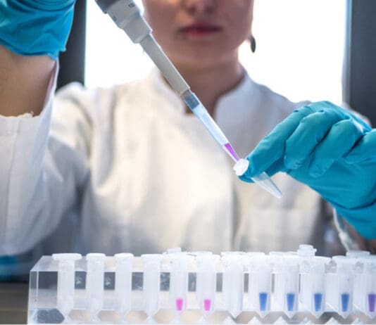 Decapeptide-12: Emerging Research on Functions, Mechanisms and More