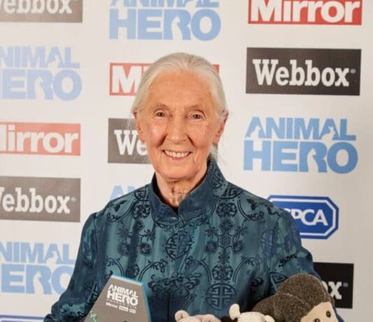 RSPCA Pays Tribute to Dr Jane Goodall