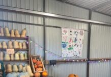 Autumnal Family Food Festival In Weymouth Coming Soon