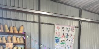 Autumnal Family Food Festival In Weymouth Coming Soon