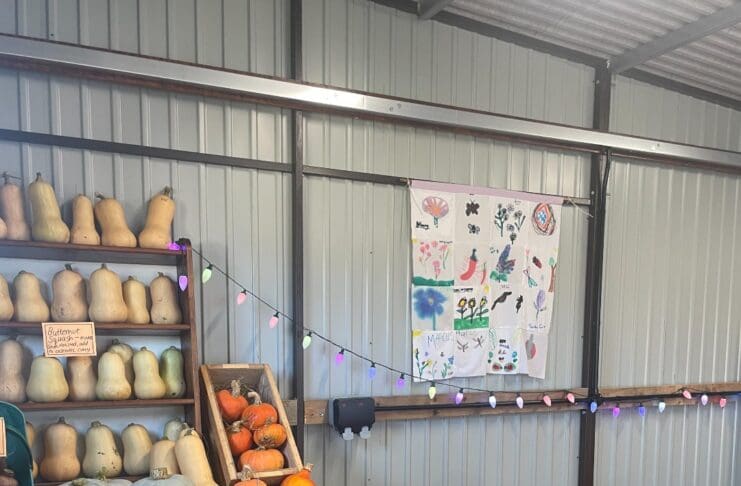 Autumnal Family Food Festival In Weymouth Coming Soon