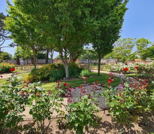 Cut Through At Weymouth Crematorium To Be Shut Off To Protect Privacy Of Mourners