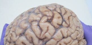 The Leave Campaign And Reform UK Have Exposed An Uncomfortable Truth