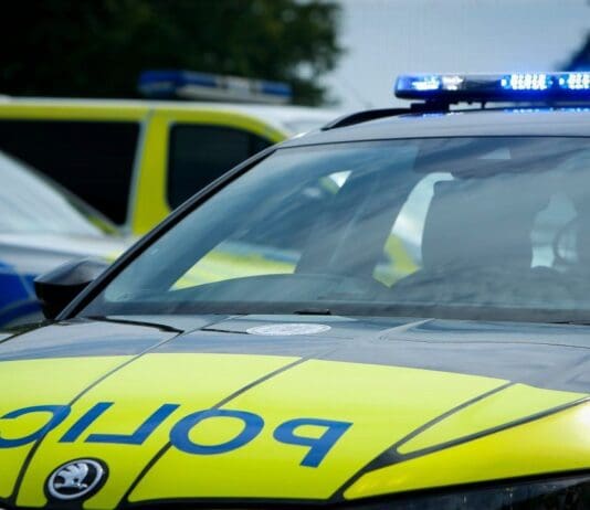 Tragedy As Man And Woman From Dorset Found Dead In New Forest