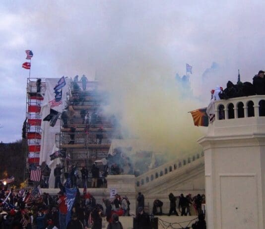 Capitol Riots: BBC Resignations Aside Trump is as Guilty as a Puppy Next to a Pile of Poo