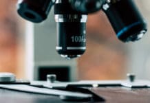 Fragment 176-191: Exploring the Research Horizons of a Specialized Peptide Derivative