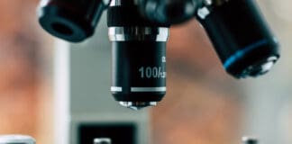 Fragment 176-191: Exploring the Research Horizons of a Specialized Peptide Derivative