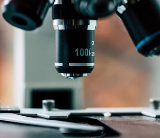 Fragment 176-191: Exploring the Research Horizons of a Specialized Peptide Derivative