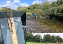 Dramatic Decline In Salmon In Dorset Reaches Catastrophic Level