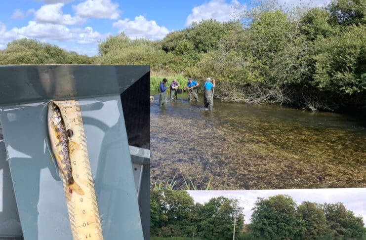 Dramatic Decline In Salmon In Dorset Reaches Catastrophic Level