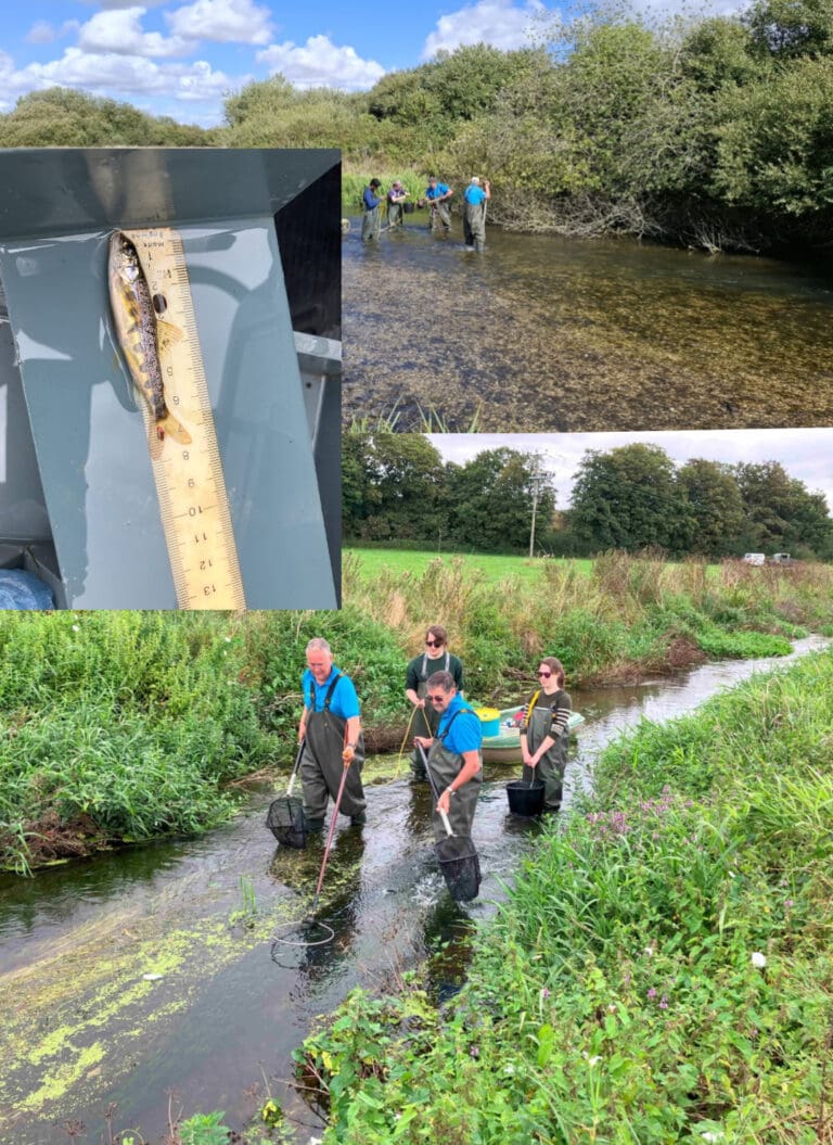 Dramatic Decline In Salmon In Dorset Reaches Catastrophic Level
