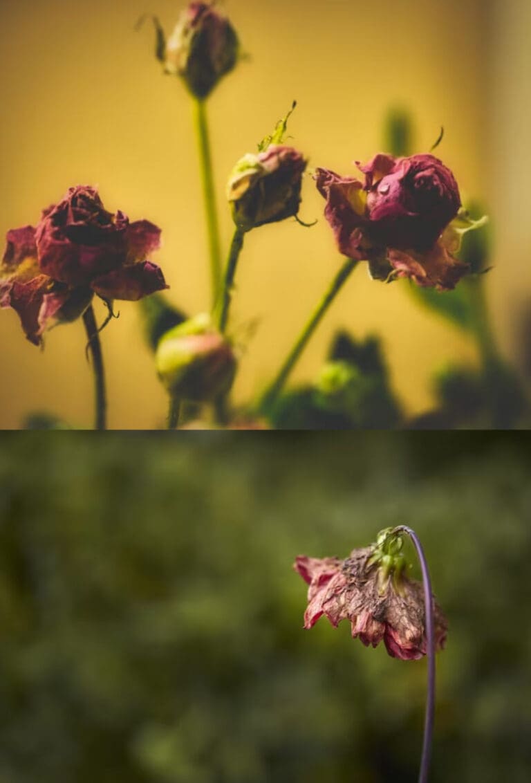 If We Are Honest We All Know Who Is To Blame