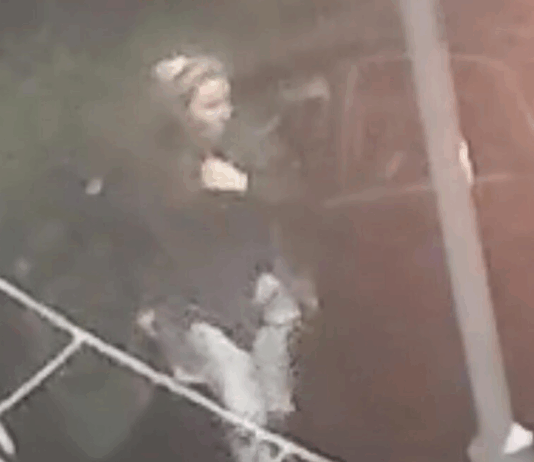 Women Sought Following Thefts From Gardens In Poole
