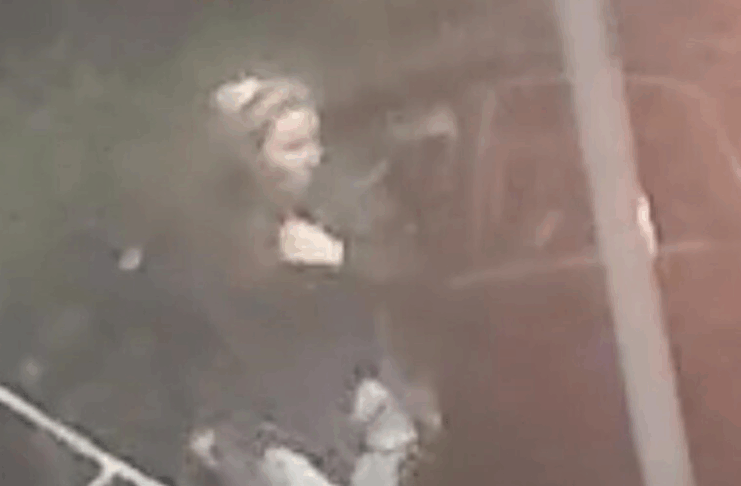 Women Sought Following Thefts From Gardens In Poole