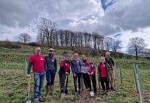 Dorset Councils Unite to Protect the County’s Natural Environment