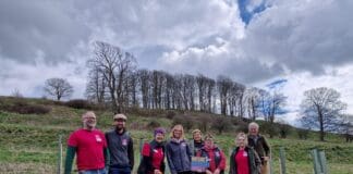 Dorset Councils Unite to Protect the County’s Natural Environment