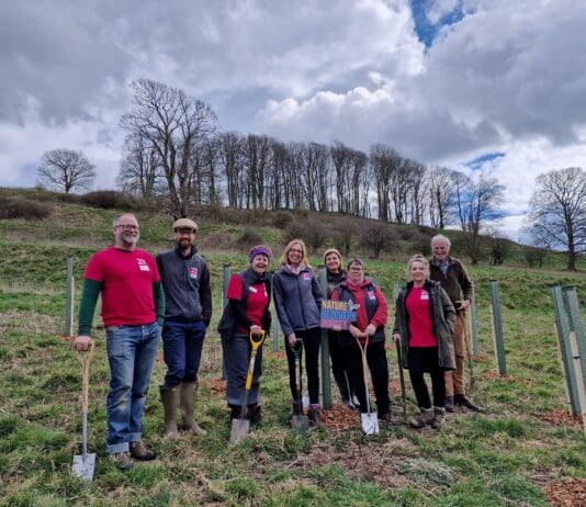 Dorset Councils Unite to Protect the County’s Natural Environment