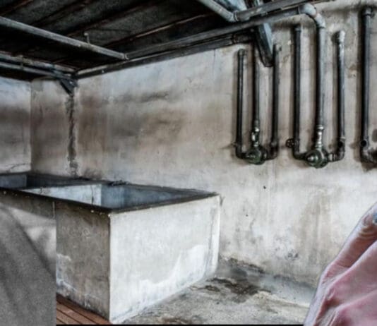 Holocaust Survivors Have Clear Message For Nigel Farage: ‘Praising Hitler, Mocking Gas Chambers, or Hurling Racist Abuse Is Not Banter’