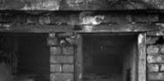 Far Right Want Asbestos in the Ceiling Back