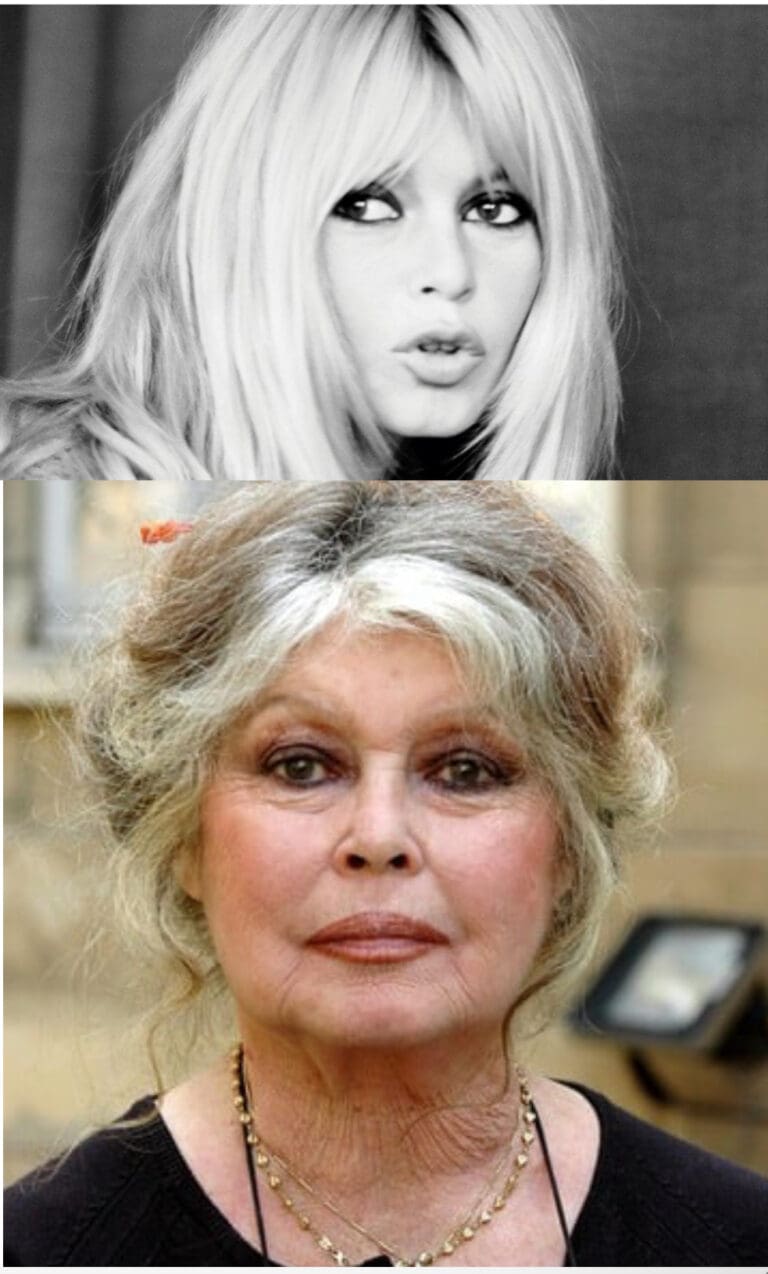 Brigitte Bardot Dead at 91: Actor, Animal Rights Campaigner and Bigot