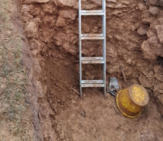 Charlie Hardcastle’s Amazing Find