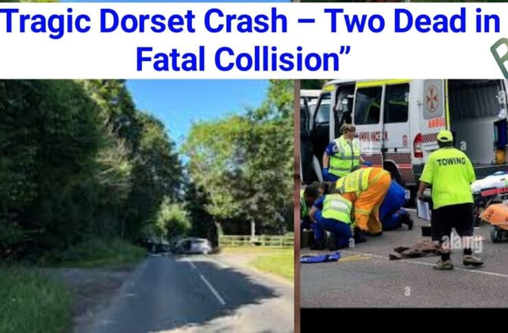 Take Heed of the Fatal Five Driving Behaviours This Christmas