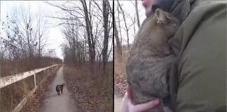 A Whole Year Passed Without Answers…