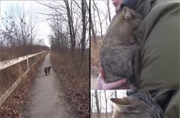 A Whole Year Passed Without Answers…