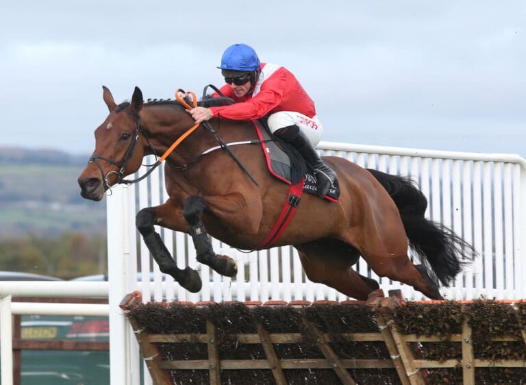 Barbarism Begins at Home: Is it Time to End the Cheltenham Festival as Third Horse Dies?